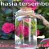 10 Manfaat Air Mawar untuk Wajah hingga Anti Aging