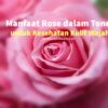9 Manfaat Rose Toner untuk Kesehatan Kulit Wajah