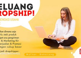 bisnis-dropship-kosmetik