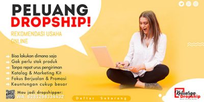 bisnis-dropship-kosmetik